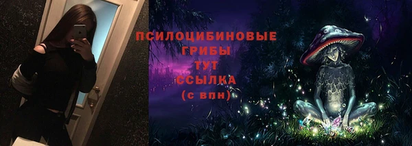 дурь Богородицк