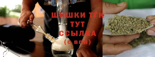 мдпв Бородино