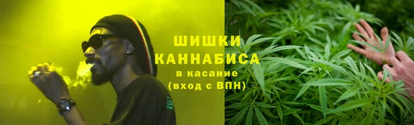 дурь Богородицк
