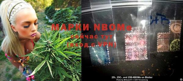 ALPHA PVP Белокуриха
