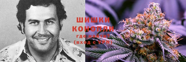 гидропоника Богданович