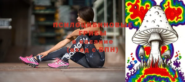 гидропоника Богданович